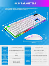 Load image into Gallery viewer, FIDBITS Wired Gaming Keyboard and Mouse Combo Set RGB Backlit for Windows PC